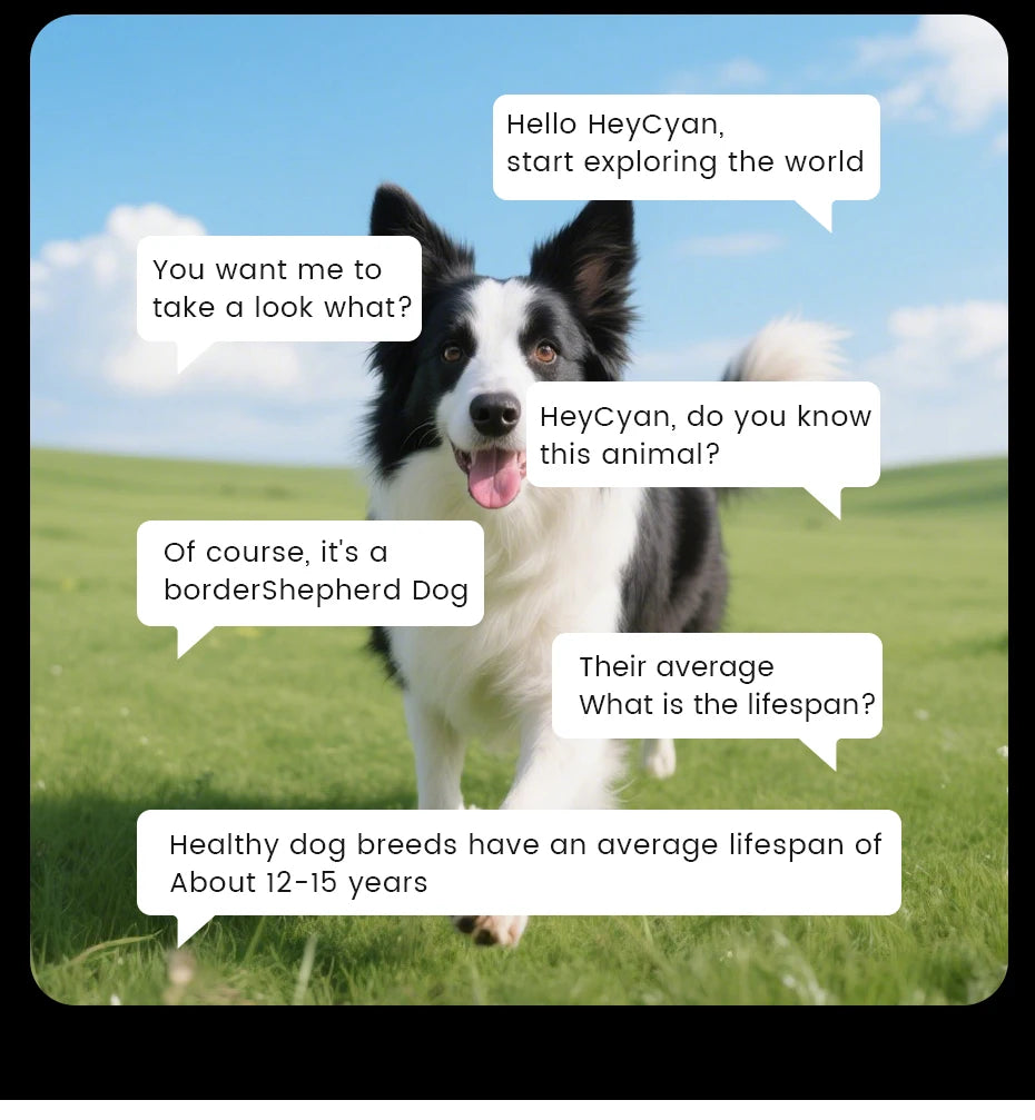 500W Camera Glasses Translate Smart Glasses Voice Call Music Sunglasses AI GPT Camera BT&WIFI Video Recording Anti-blue Light